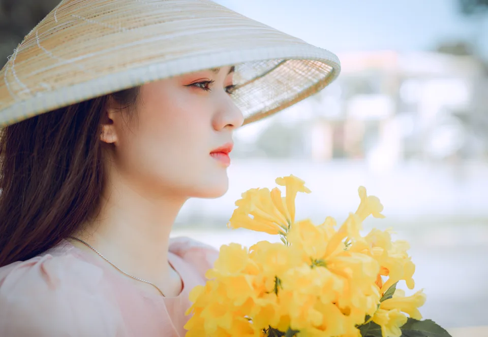 Dự án gần đây